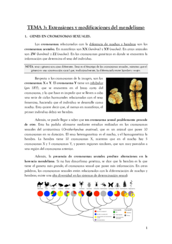 TEMA-3.pdf