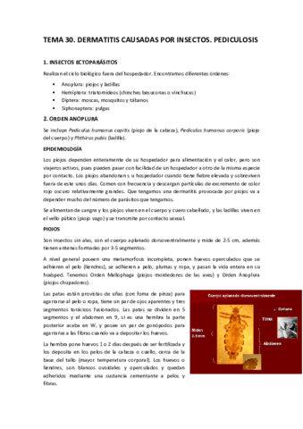 TEMA-30.pdf