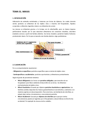 TEMA-31.pdf