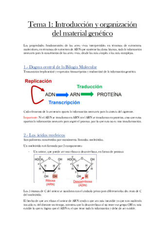 Bloque-1-y-2-Bioquimica-molecular.pdf
