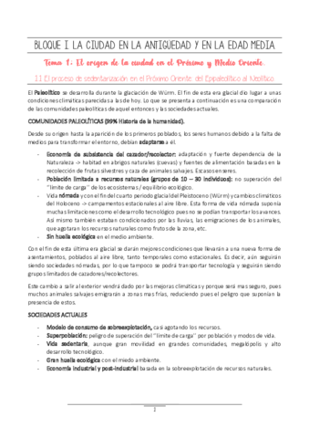 Tema-1-El-origen-de-la-ciudad-en-el-Proximo-y-Medio-Oriente.pdf