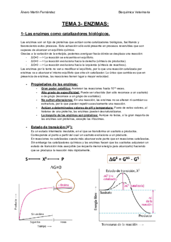 TEMA-3-ENZIMAS.pdf