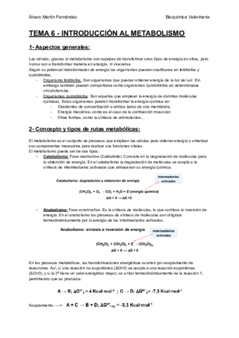 TEMA-6-INTRODUCCION-AL-METABOLISMO.pdf