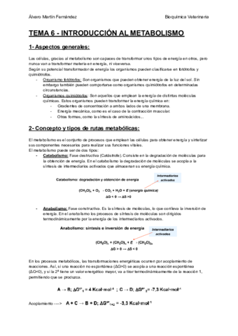 TEMA-6-INTRODUCCION-AL-METABOLISMO.pdf