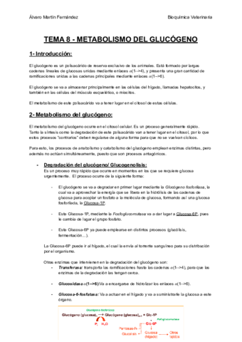 TEMA-8-METABOLISMO-DEL-GLUCOGENO.pdf