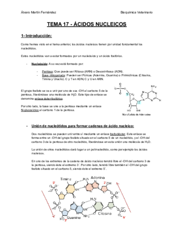TEMA-17-ACIDOS-NUCLEICOS.pdf