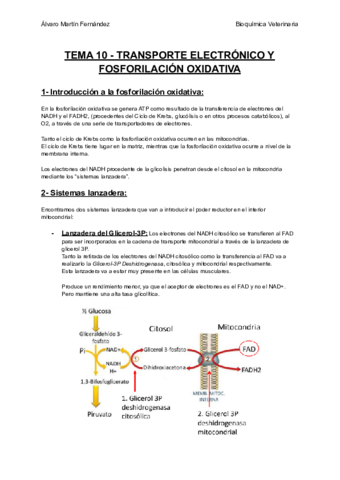 TEMA-10-TRANSPORTE-ELECTRONICO-Y-FOSFORILACION-OXIDATIVA.pdf