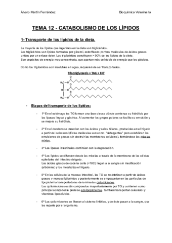 TEMA-12-CATABOLISMO-DE-LOS-LIPIDOS.pdf