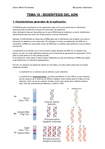 TEMA-18-BIOSINTESIS-DEL-ADN.pdf
