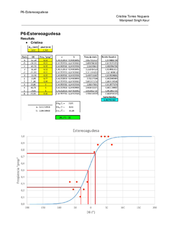 P6-Estereoagudesa.pdf