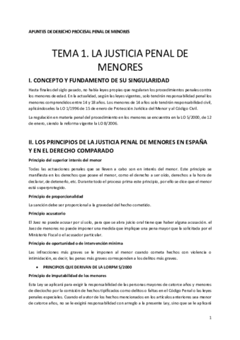 Temas derecho procesal penal de menores.pdf
