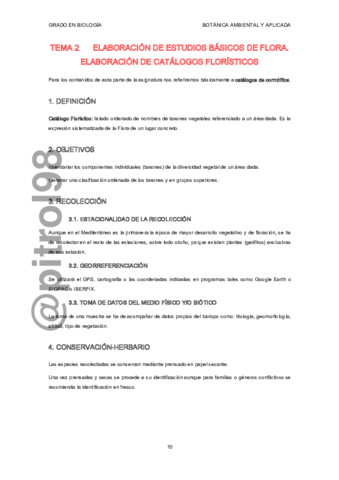 BAATema2.pdf