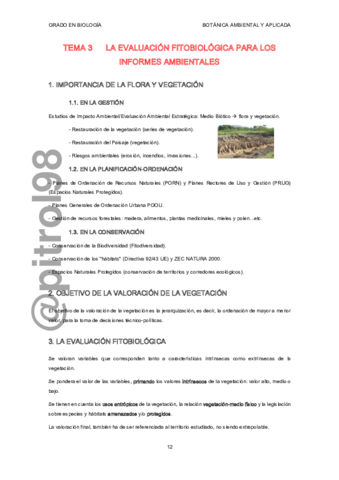 BAATema3.pdf