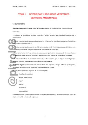 BAATema1.pdf