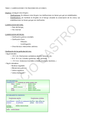 TEMA-5.pdf