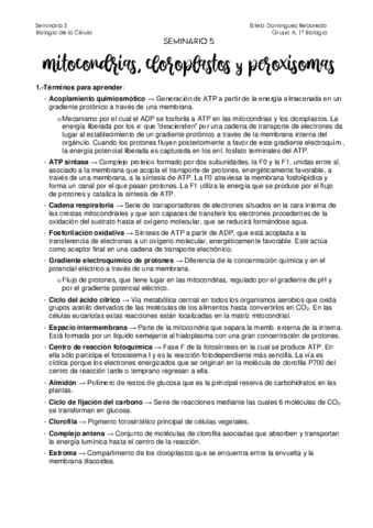 Seminario-5 corregido.pdf