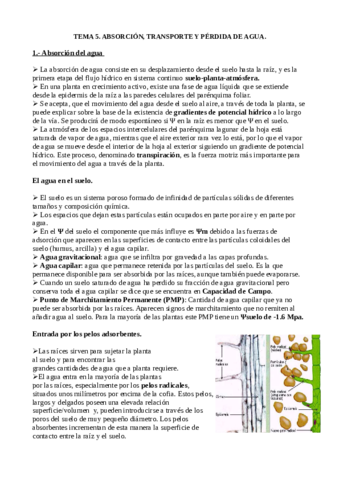 Tema-5-Biologia-Vegetal.pdf