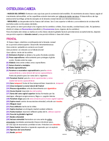 OSTEOLOGIA-CABEZA.pdf