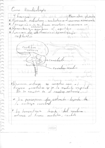 Neurobiologia1.pdf