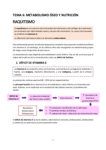TEMA-6-RAQUITISMO-.pdf