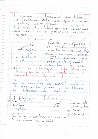 neurobilogia5.pdf