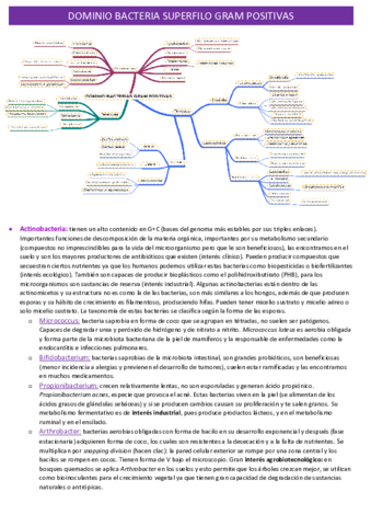 bacterias-gram-positivas.pdf