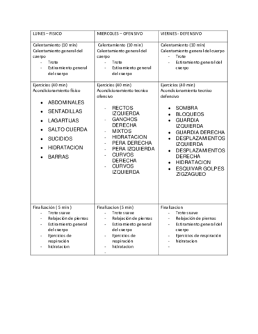 PROGRAMACION-DEL-ENTRENAMIENTO-plan-semanal-boxeo.pdf