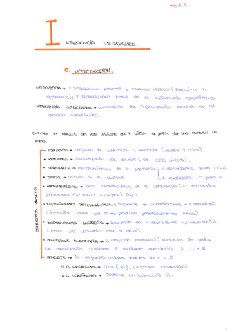 INFERENCIA-ESTADISTICA.pdf