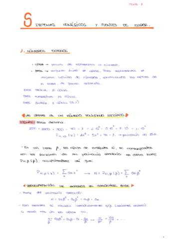 SISTEMAS-NUMERICOS-Y-FUENTES-DE-ERROR.pdf