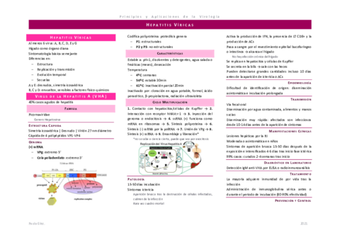 hepatitis-ficha.pdf