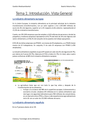 GestionMedioambiental.pdf