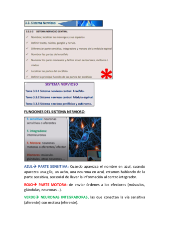 sistema-nervioso.pdf