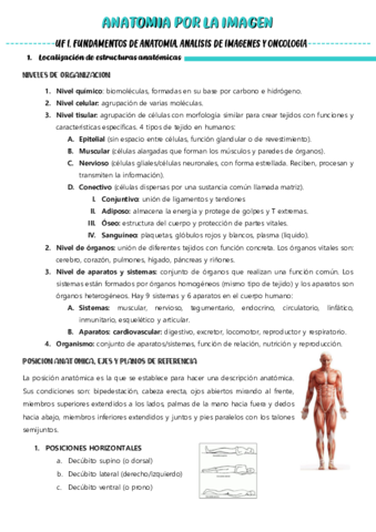 Anatomia-por-la-imagen-apuntes-todo-temario.pdf