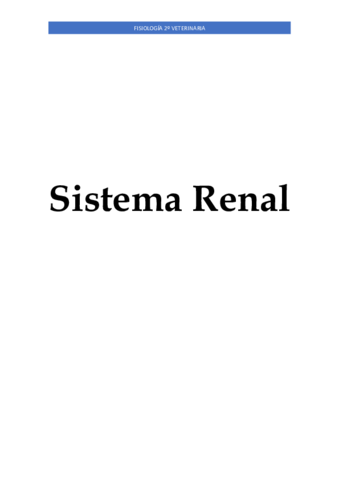 Seccion-V-Sistema-Renal.pdf