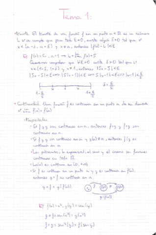 Calc1-Entero.pdf