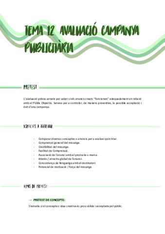TEMA-12-Avaluacio-de-la-Campanya-Publicitaria.pdf