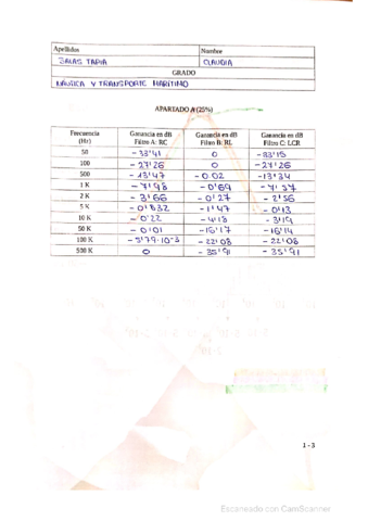 P02PUENTESALASTAPIACLAUDIA.pdf