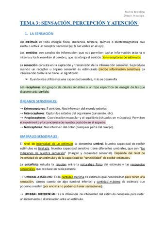 SENSACIO-PERCEPCION-Y-ATENCION.pdf