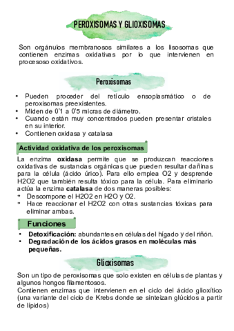 glioxisomas-y-peroxisomas.pdf