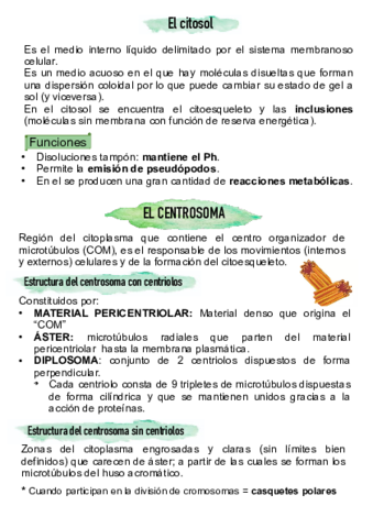 citoplasma2.pdf