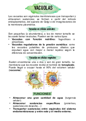 vacuolas.pdf