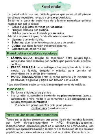 Estructuras-extracelulares-2.pdf