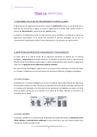 TEMA-14-APOPTOSIS.pdf