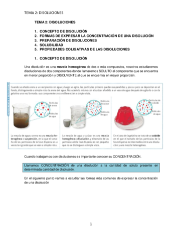 TEMA2DISOLUCIONES.pdf