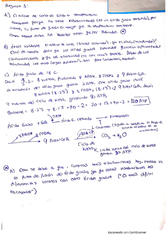 preguntas-escritas-examen-bioquimica.pdf