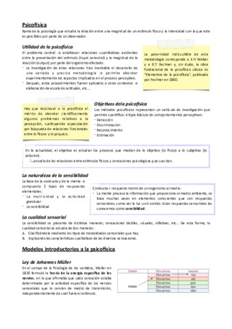 TEMA-2.pdf