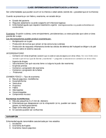 ENFERMEDADES-EXANTEMATICAS.pdf
