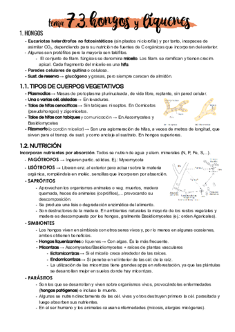 Tema-7-3.pdf