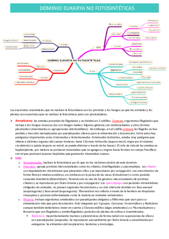 eukarya-no-fotosinteticas.pdf