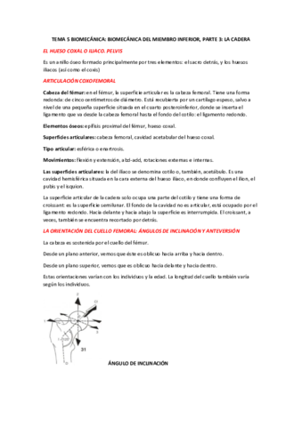 TEMA-5-BIOMECANICA-PARTE-3.pdf